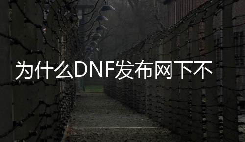 为什么DNF发布网下不了