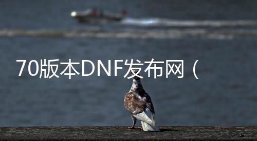 70版本DNF发布网（DNF发布网与勇士70怀旧版）