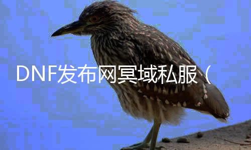 DNF发布网冥域私服（DNF发布网冥域时空搬砖收益）