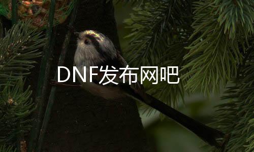 DNF发布网吧