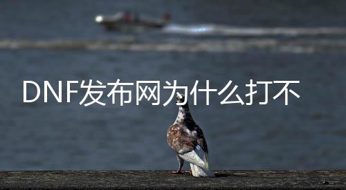 DNF发布网为什么打不上字（DNF发布网为什么打不了字了）