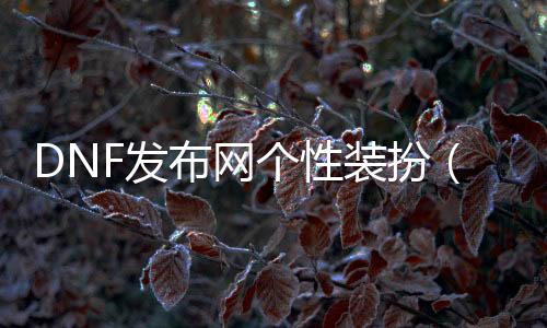 DNF发布网个性装扮（DNF发布网装扮大全）