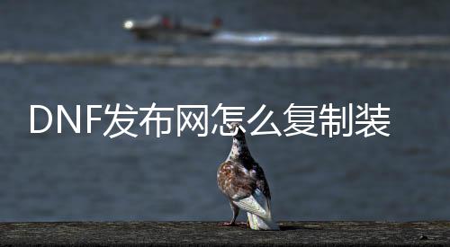 DNF发布网怎么复制装备（dnf装备复制工具）
