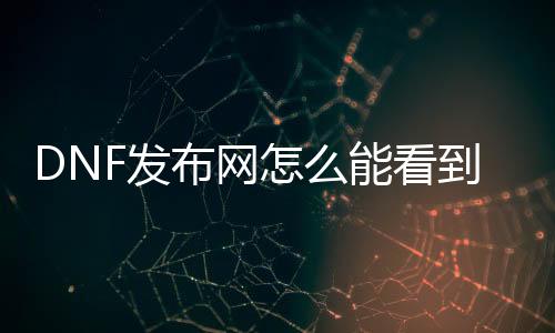 DNF发布网怎么能看到物品代码（dnf怎么看物品交易记录）