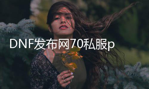 DNF发布网70私服pk（DNF发布网70吧）