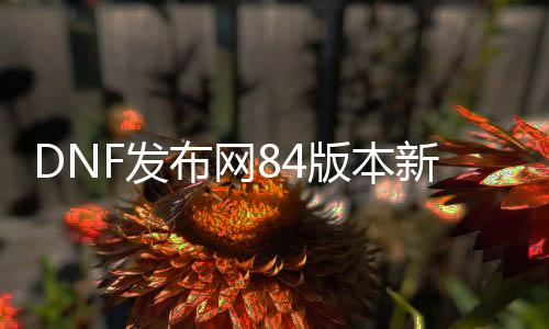 DNF发布网84版本新开私服