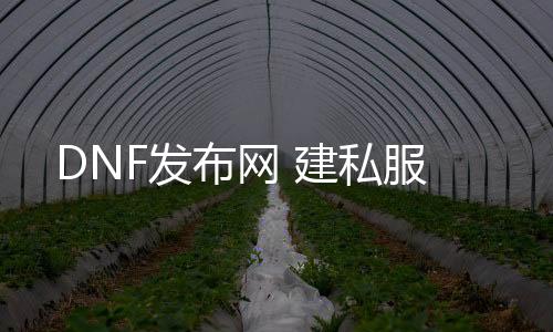 DNF发布网 建私服