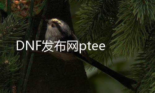 DNF发布网ptee