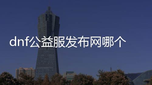dnf公益服发布网哪个版本改的（dnf公益服发布网哪个职业厉害）
