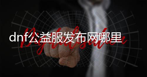 dnf公益服发布网哪里买（dnf公益服发布网啥意思）