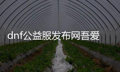 dnf公益服发布网吾爱（吾爱dnf公益服发布网介绍）