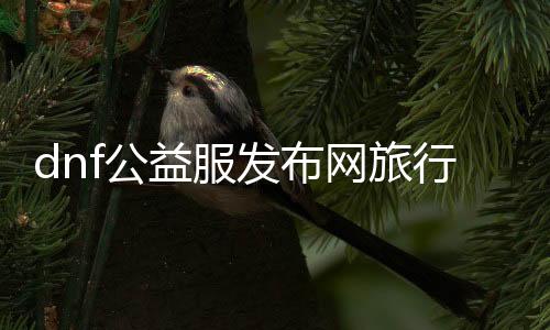 dnf公益服发布网旅行者（dnf公益服发布网违法吗）