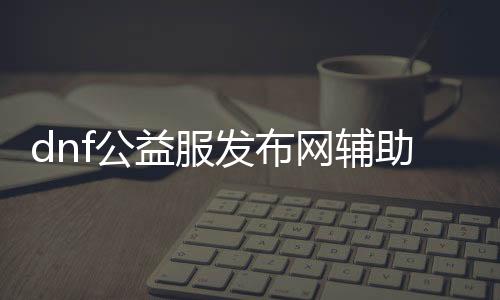 dnf公益服发布网辅助怎么替换（dnf公益服发布网怎么赚钱）