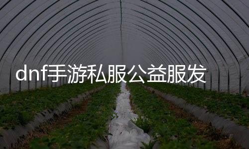 dnf手游私服公益服发布网（DNF发布网与勇士手游公益服发布网）