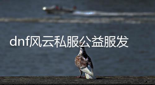 dnf风云私服公益服发布网发布网排行榜,最新DNF发布网公益服发布网推荐