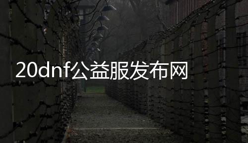 20dnf公益服发布网（dnf公益服发布网站）